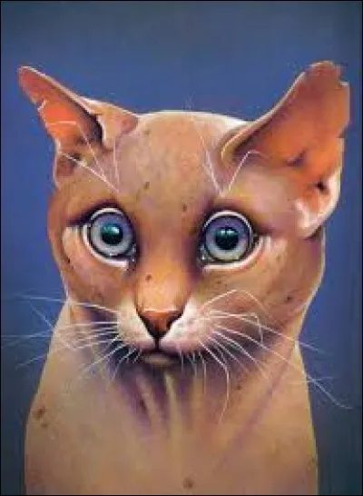 What is this strange cat that gives advice to il de Geai?