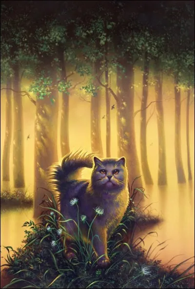 Who is this warrior cat?