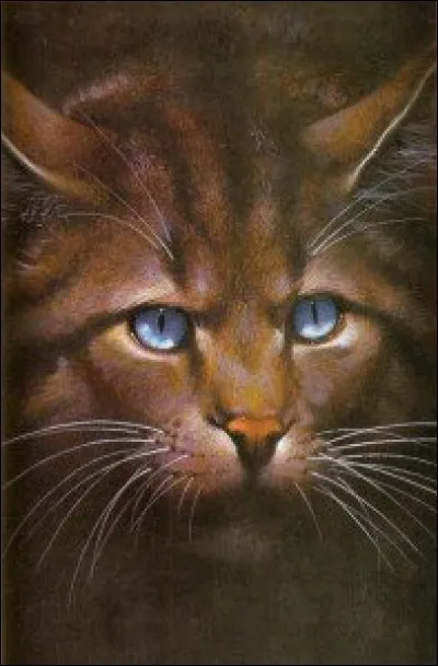 Which cat is evil, ambitious, and has a warlike sur?