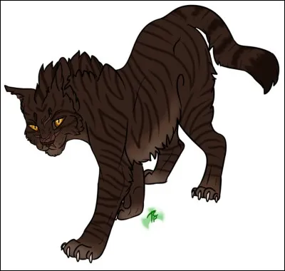 Which is the cat of the Dark Forest, son of Croc Jaune?