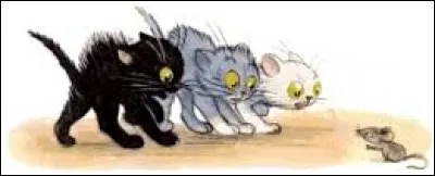 What color cat brings bad luck, according to a famous superstition?