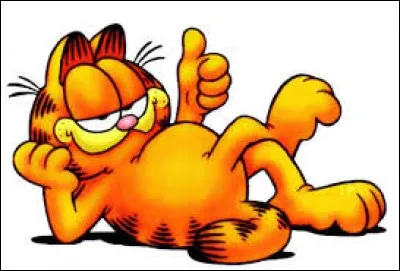 What is Garfield's favorite food?