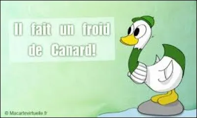 What does the expression Il fait un froid de canard mean?