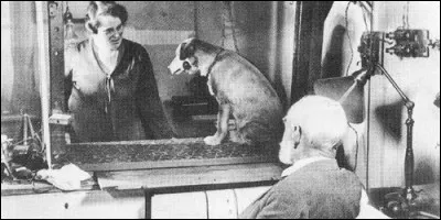 This man studied and worked on conditioned reflexes. His name is: