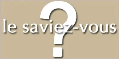 What does the prefix poly mean?