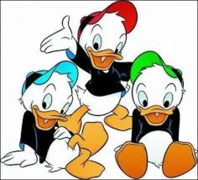 Donald Duck's nephews are : Riri, Fifi and...